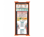 WhiteCoat Clipboard® Trifold - Orange Physical Therapy Edition
